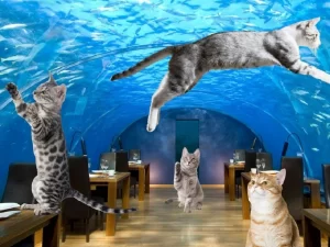 коти скачуть у водному тунелі